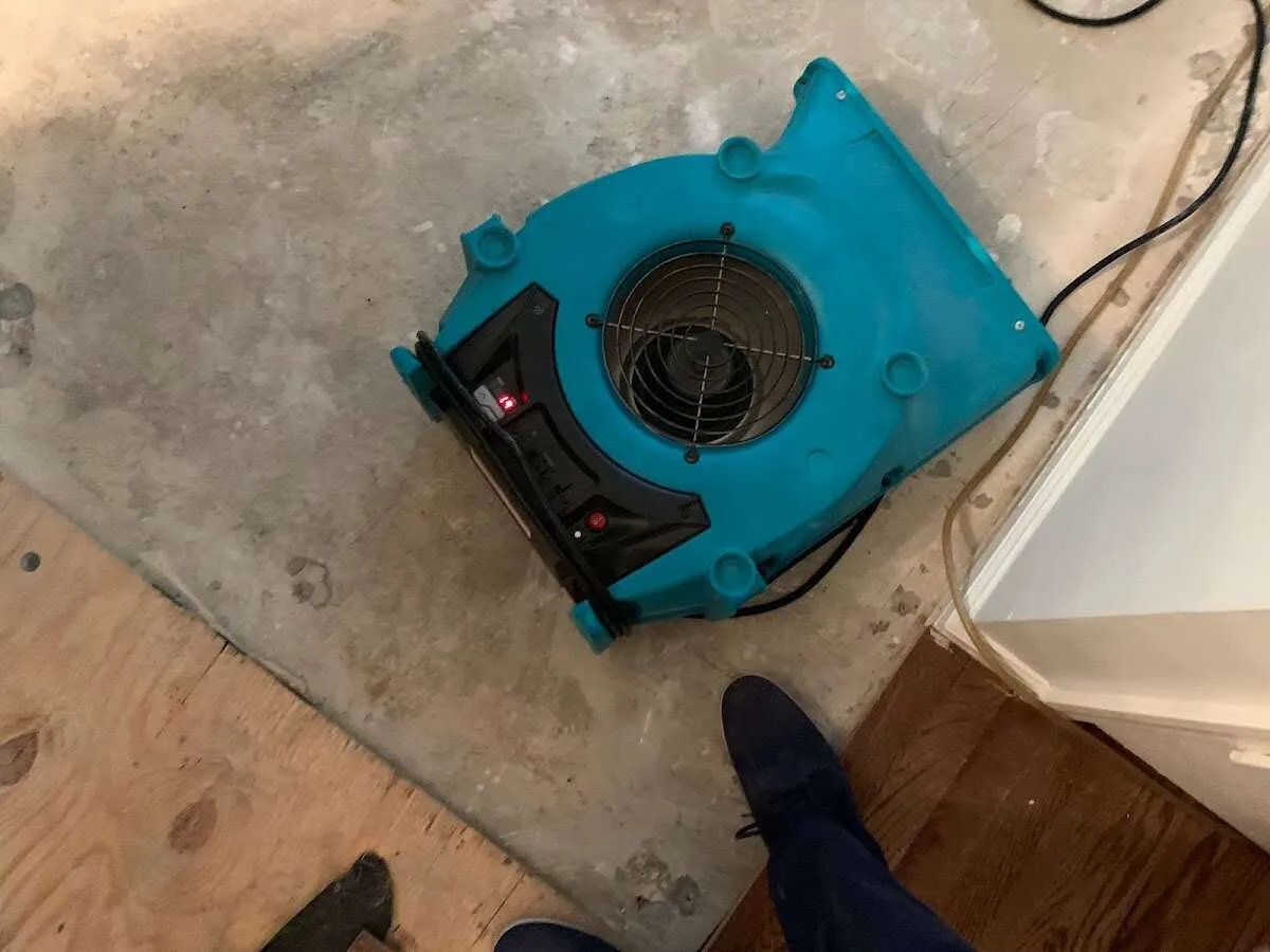 Air mover drying subfloor during Leak Detection & Repair in Shady Hollow